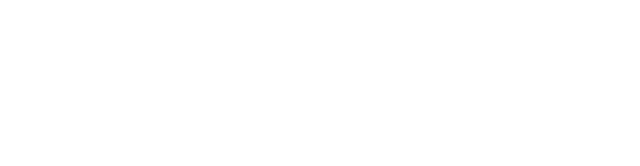 ZiPlayer Logo