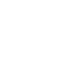 ZiPlayer Icon